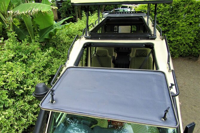 3 Days Serengeti Park & Ngorongoro Crater Adventure Safari - What private transport adds