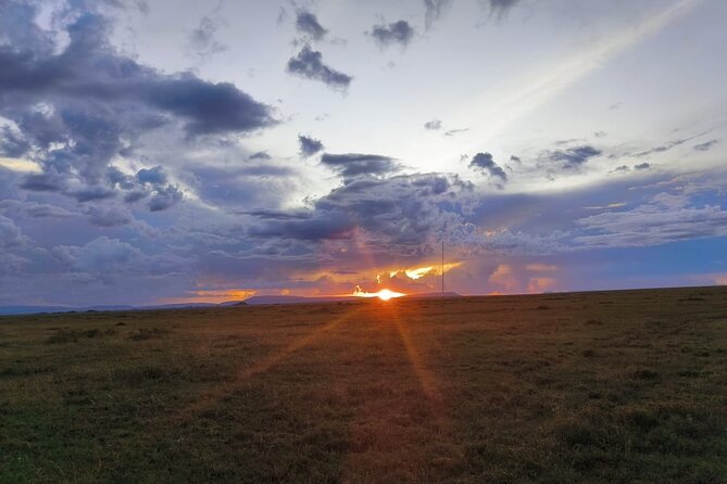 3 Days Small Group Safari to Serengeti NP and Ngorongoro Crater Tour in Tanzania - Guides, group size, and the safari vehicle