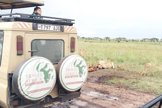 3 Days Small Group Safari to Serengeti NP and Ngorongoro Crater Tour in Tanzania - Camping conditions and the comfort tradeoff