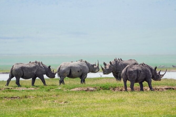 3 Days Tanzania Budget Group Joining Safari Tour - What the $962 price means in practical terms