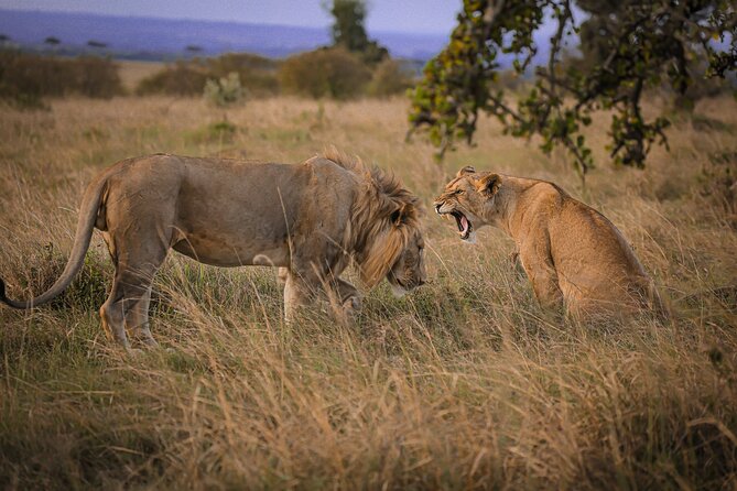 3 Days Tanzania Private Budget Safari to Serengeti & Ngorongoro - Why this short safari works