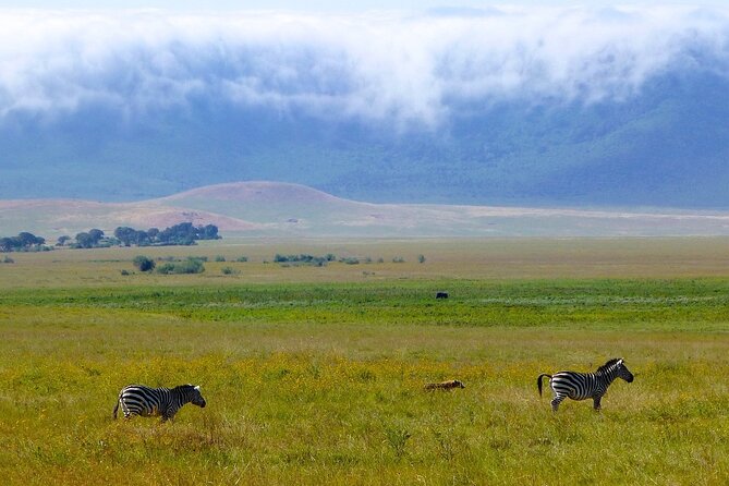 3 Days Tanzania Safari: Tarangire, Manyara and Ngorongoro Crater - Day one: Tarangire’s elephants and baobab country