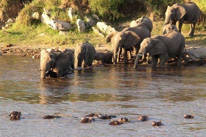 3-Days Tanzania Safari Tours - Day 1: Tarangire’s elephants and giant baobabs