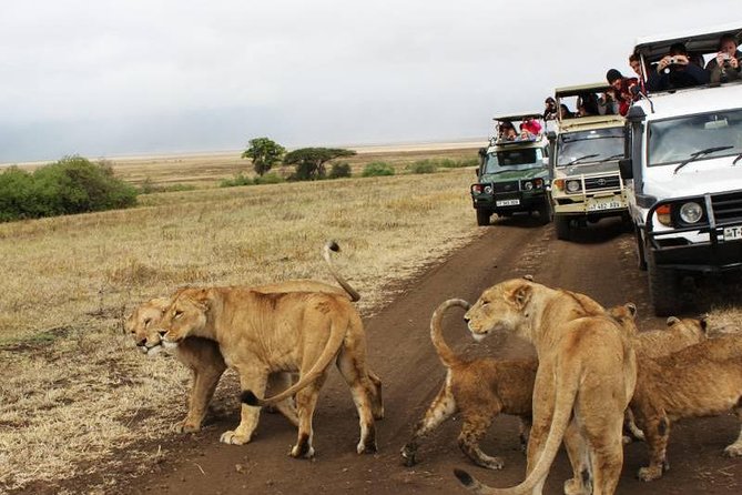 3-Days Tanzania Safari Tours - Day 3: Lake Manyara and the final six hours