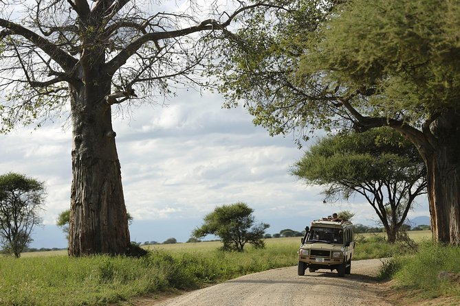 3-Days Tanzania Safari Tours - What the $1,140 price really covers