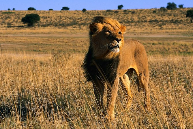 3 Days Tanzania Short and Spicy - Day 1: Elephants and open country in Tarangire