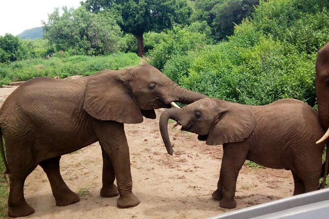 3 - Days Tanzania Wildlife Safari - Burudika Lodge and the One-Night Setup