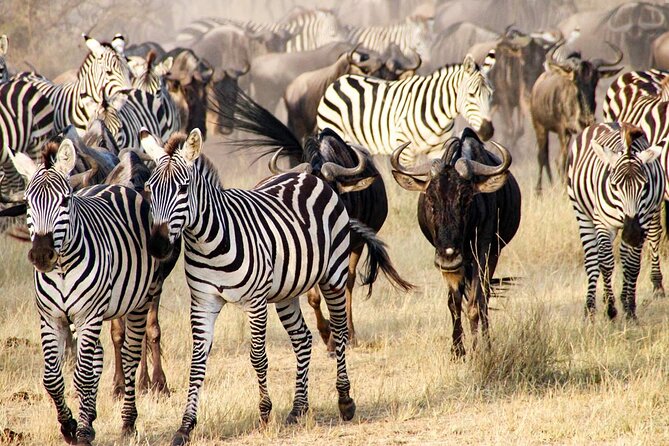 3Days Safari to Tarangire Ngorongoro and manyara lodge safari - Three parks, three different sides of northern Tanzania