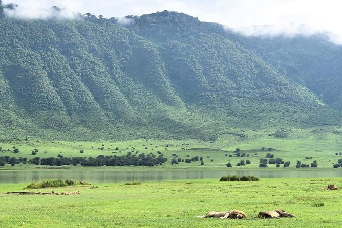 3days Serengeti National park and Ngorongoro Crater Tanzania Safari - What this safari is really designed to do