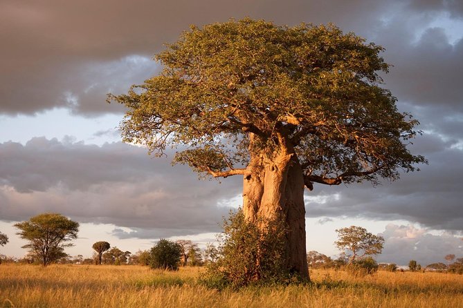 4 Day: Astonishing Group Safari - The $1,054 price and what it covers