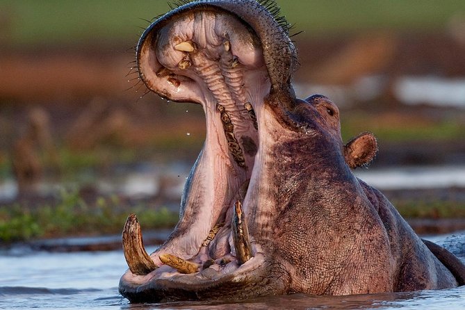 4 Day: Astonishing Group Safari - Day 1: Lake Manyara and the Great Rift Valley