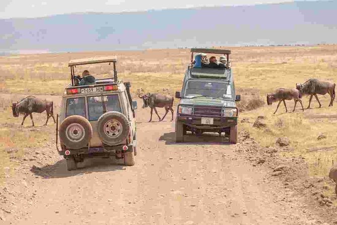 4-Day Basic Safari with Serengeti, Ngorongoro, & Tarangire - Day one: Tarangire’s elephants and baobabs