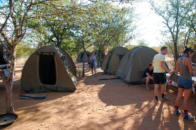 4-Day Basic Safari with Serengeti, Ngorongoro, & Tarangire - Day four: Ngorongoro Crater from the rim to the floor