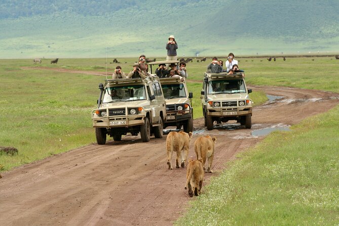 4-Day Camping on the Big Five Private Safari - Day 4: Down into Ngorongoro Crater