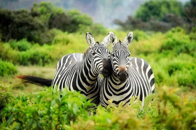 4-Day fascinating Camping Safari in Tanzania - The guide can shape the whole experience