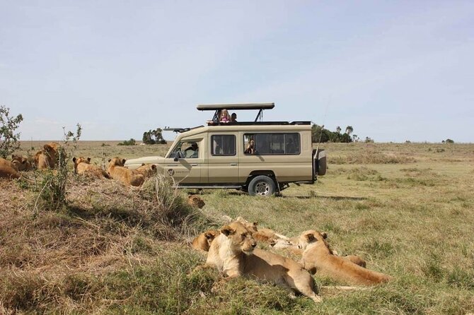 4 Day Great Migration Safari Serengeti & Ngorongoro Crater - Day 4: Down into Ngorongoro Crater