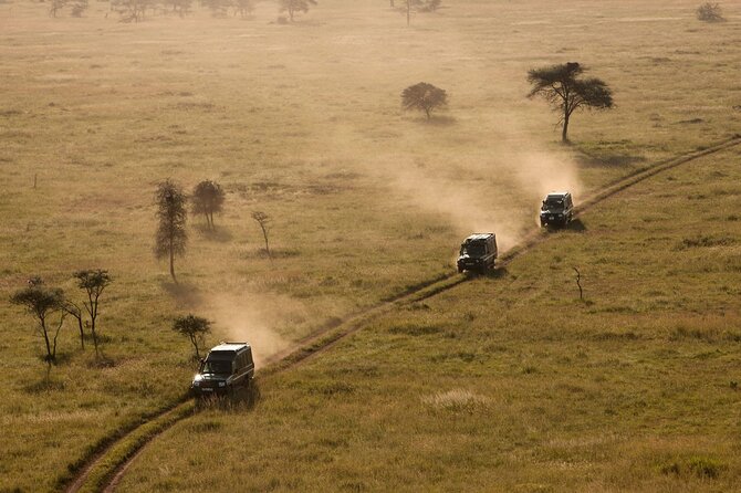 4 Day Great Migration Safari Serengeti & Ngorongoro Crater - Guides, vehicles, and the private-tour advantage