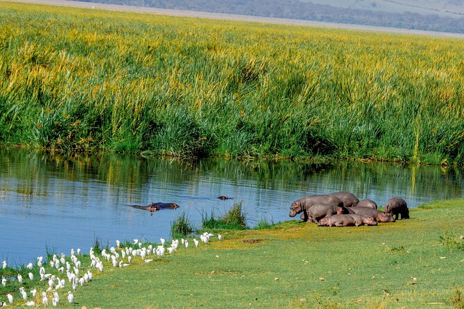4-Day Group Joining Safari in Tanzania | Shared Safari - Day 2: Crossing the highlands into the Serengeti