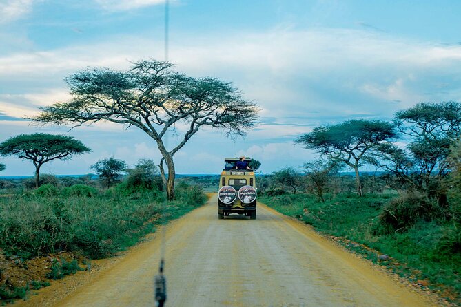 4-Day Group Joining Safari in Tanzania | Shared Safari - Day 3: A long Serengeti game-drive day