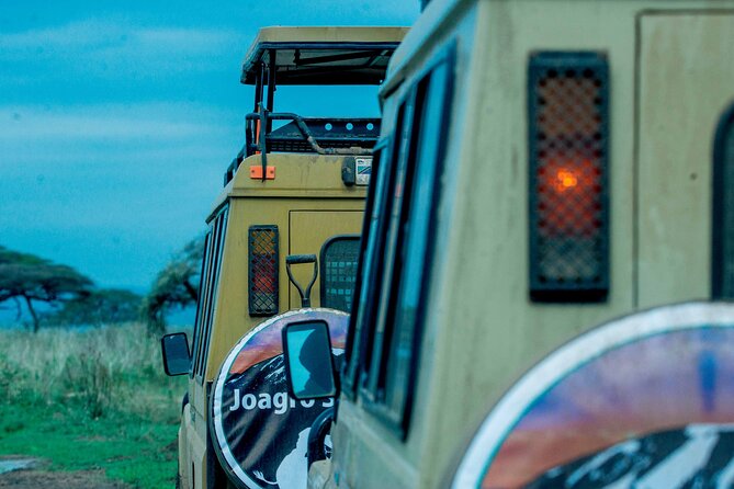 4-Day Group Joining Safari in Tanzania | Shared Safari - Day 1: Tarangire’s elephants beneath baobab trees