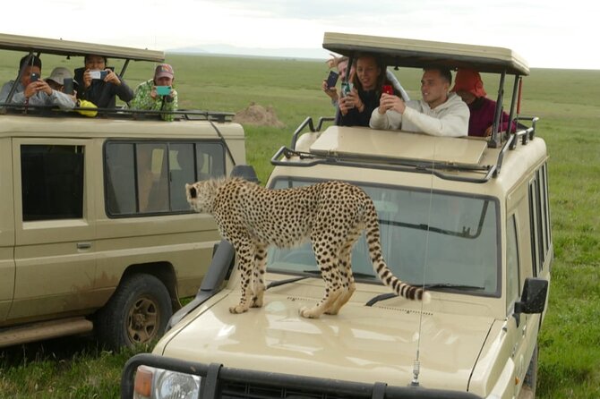 4-Day Lodge Private Tour to Tarangire, Serengeti and Ngorongoro - Day three: sunrise on the plains, then toward the crater