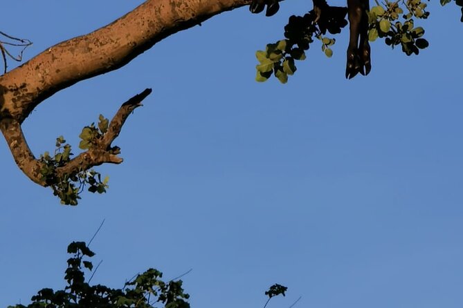 4-Day Lodge Private Tour to Tarangire, Serengeti and Ngorongoro - Day four: a full day inside Ngorongoro Crater