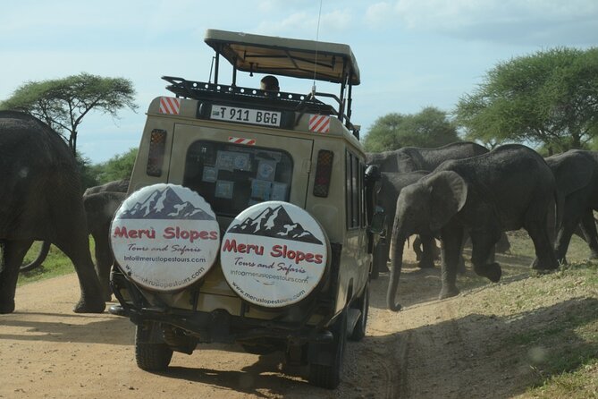 4-Day Lodge Private Tour to Tarangire, Serengeti and Ngorongoro - What the private vehicle adds