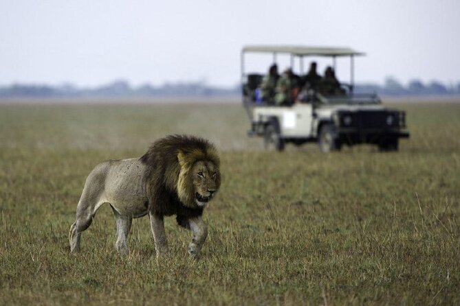 4-Day Manyara Serengeti and Ngorongoro Wonders Budget Safari Tour - The guide can shape the whole safari