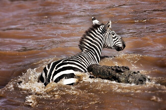 4-Day Manyara Serengeti and Ngorongoro Wonders Budget Safari Tour - Day 2: The long road to Serengeti