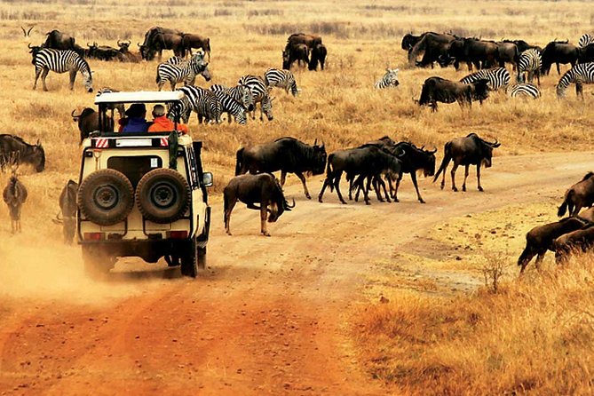 4 Day Mid-range Private Roundtrip Flying from Zanzibar - The early flight from Zanzibar to Seronera