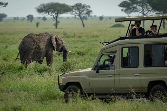 4 Day Ngorongoro Crater Tarangire and Serengeti National Park - Day four: Down into Ngorongoro Crater