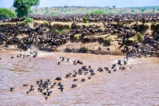 4-Day Northern Tanzania Camping Tour Safari - Three parks, one fairly fast northern circuit