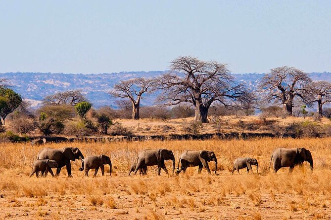 4 Day Private Tour Throughout Tarangire, Serengeti and Ngorongoro - What $3,205 buys you