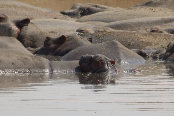 4-Day Safari from Arusha: Tarangire, Serengeti and Ngorongoro - What the $1,753.34 Price Really Covers