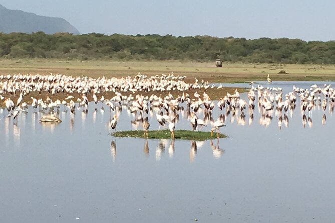 4-Day Safari from Arusha: Tarangire, Serengeti and Ngorongoro - Meals, Water, and Practical Comfort