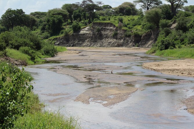 4-Day Safari in Tarangire, Serengeti & Ngorongoro (Mid-range) - How the private format affects the trip