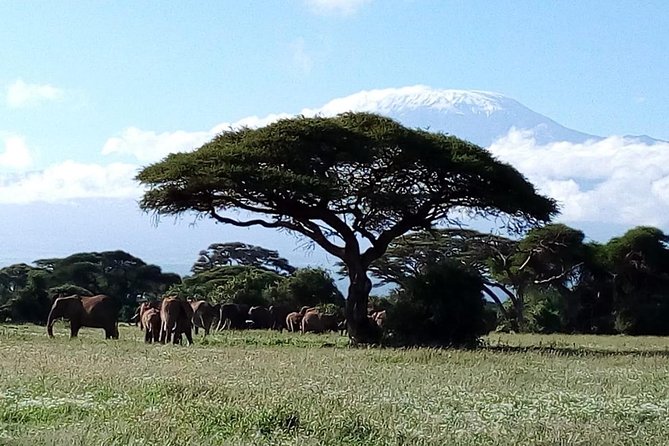 4-Day Safari: Lake Manyara, Serengeti & Ngorongoro - The strongest reasons to choose this safari