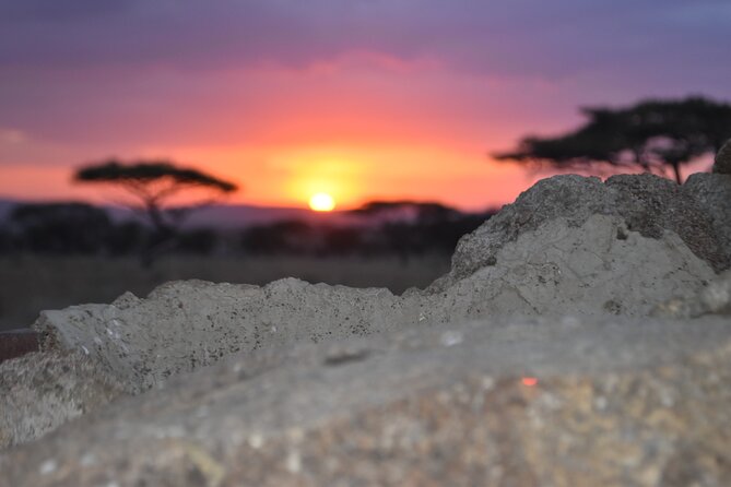4 Day Safari- Tarangire,Ngorongoro and Serengeti - What the vehicle and guide setup means