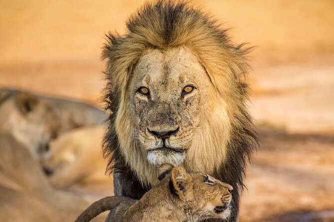 4 Day Safari- Tarangire,Ngorongoro and Serengeti - What is included in the $3,984 price