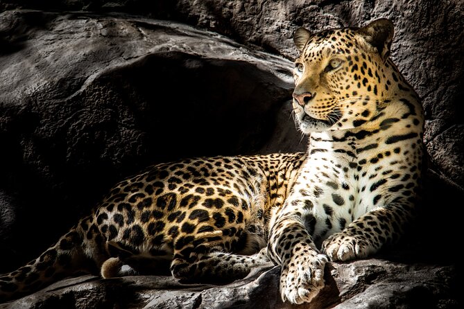4 Day Safari- Tarangire,Ngorongoro and Serengeti - Tarangire and the appeal of elephant country