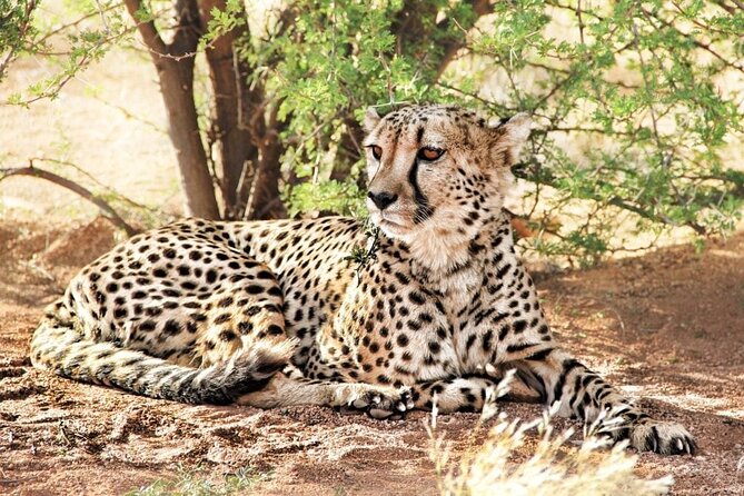 4-Day Safari to Tarangire ,Serengeti and Ngorongoro crater from Arusha - Why this four-day route works