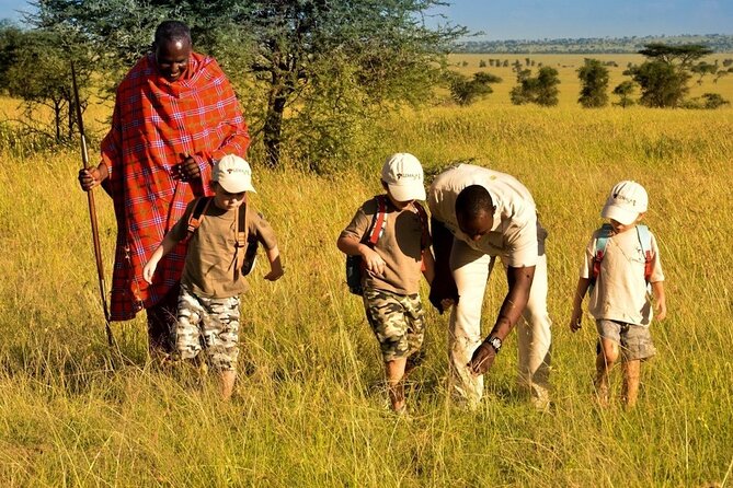 4-Day Safari to Tarangire ,Serengeti and Ngorongoro crater from Arusha - Day 4: Ngorongoro Crater at its best time of day