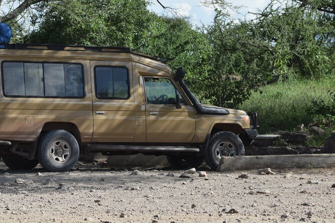 4-Day Safari to Tarangire ,Serengeti and Ngorongoro crater from Arusha - Who should book this safari