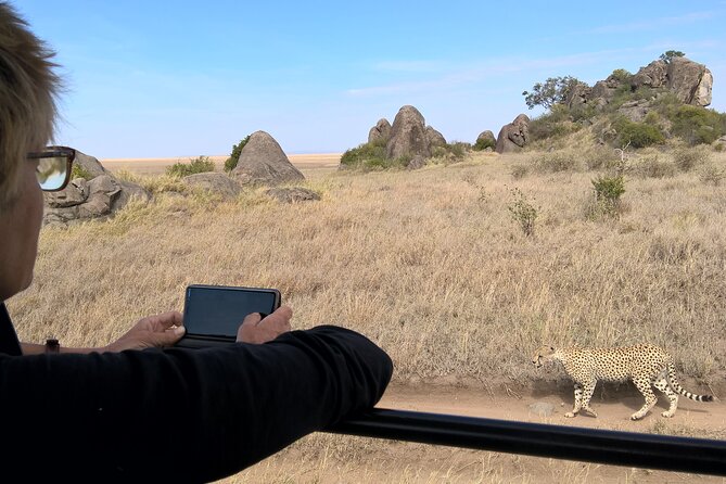 4-Day Safari to Tarangire, Serengeti and Ngorongoro from Arusha - Join a group - Tarangire’s elephants and baobabs on day one