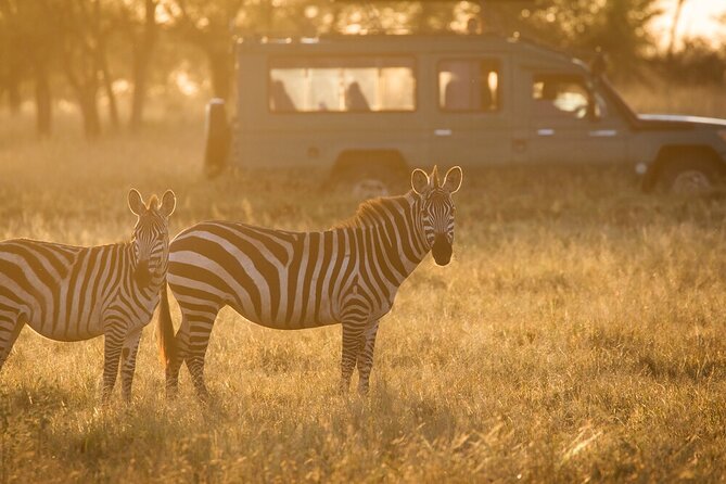 4-Day Serengeti, Ngorongoro, & Lake Manyara Budget Tour - Day 3: from Serengeti plains to Ngorongoro Crater