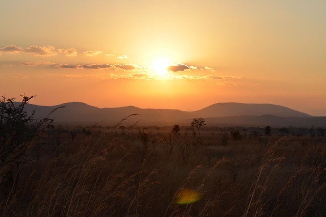 4 Day Serengeti & Ngorongoro Safari Wildlife Wonders of Tanzania - Three parks in four days, with very little spare time
