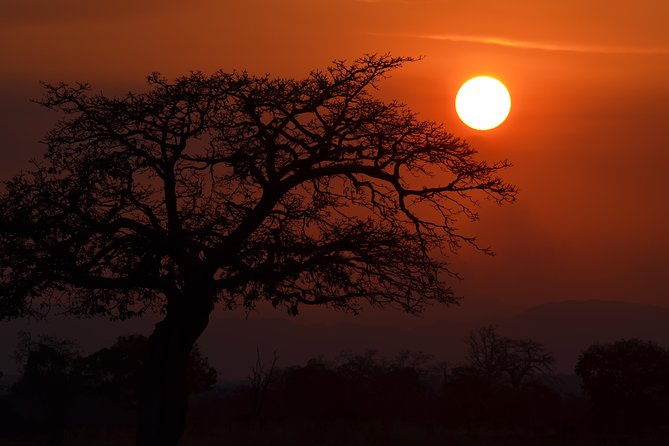 4 Day Serengeti & Ngorongoro Safari Wildlife Wonders of Tanzania - Who will get the most from this safari