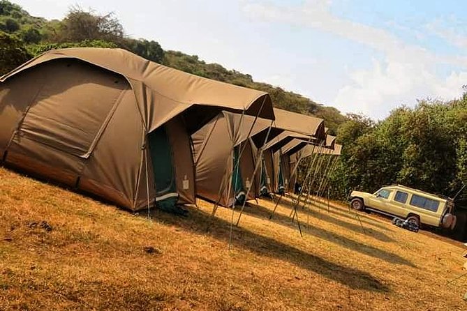 4-Day Serengeti, Ngorongoro,Tarangire safari - Who should book this safari
