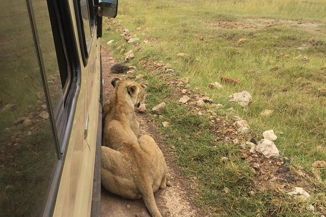 4-Day Serengeti, Ngorongoro,Tarangire safari - Serengeti: the biggest setting and the longest drive