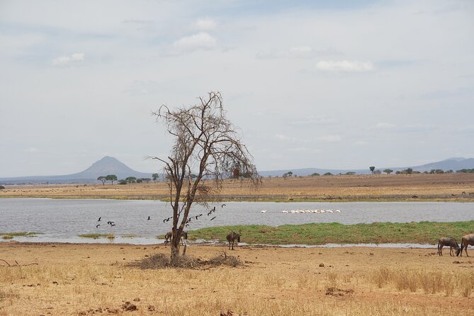 4-Day Shared Safari Tour with Complete Meals - Why this route works so well in four days